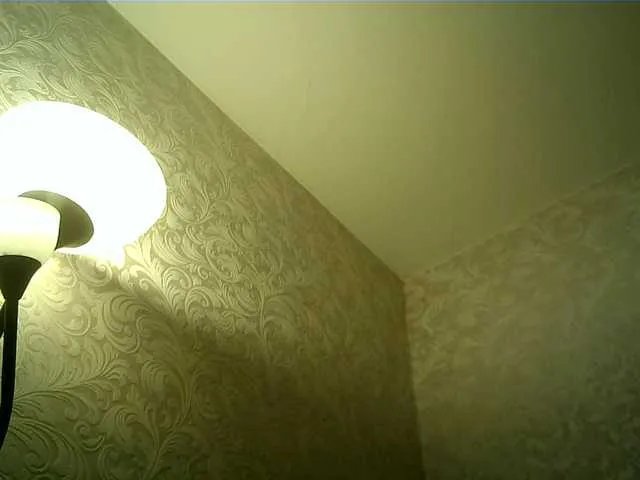 Offline alina-malina6 on BongaCams