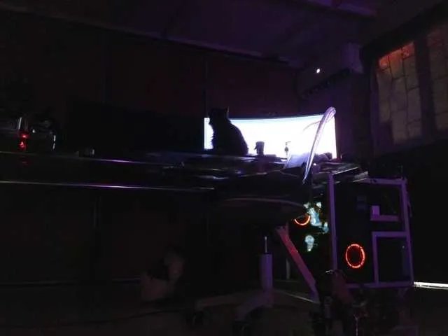 Freechat angelinasia on BongaCams