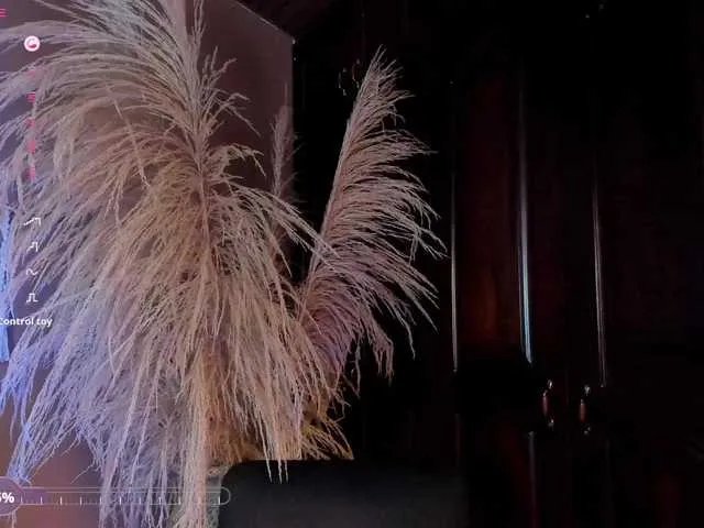 Freechat Arianne-ferrer on BongaCams