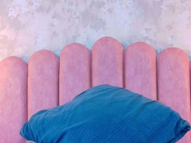 Offline CamileJohnston on BongaCams