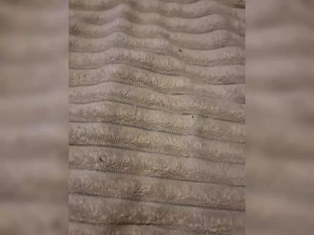 Offline Cat-Bars69 on BongaCams