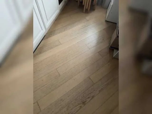 Offline Dii-6 on BongaCams