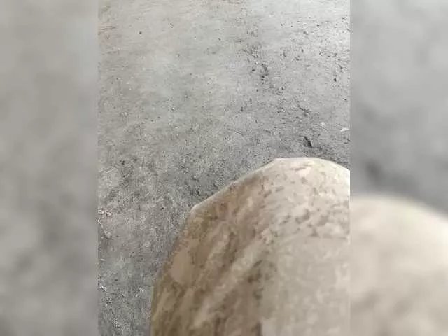 Offline family2020 on BongaCams