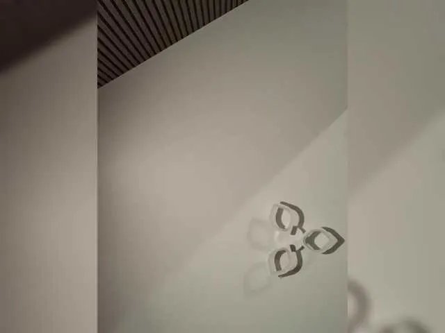 Offline FeeBee on BongaCams