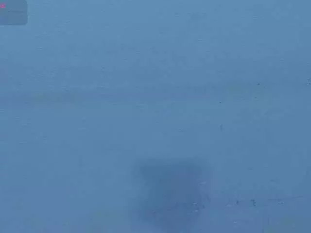 Freechat Harsh-mode on BongaCams