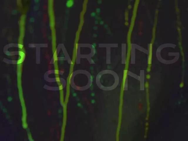 Offline HEYBANANA on BongaCams