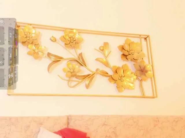 Offline kalaa- on BongaCams