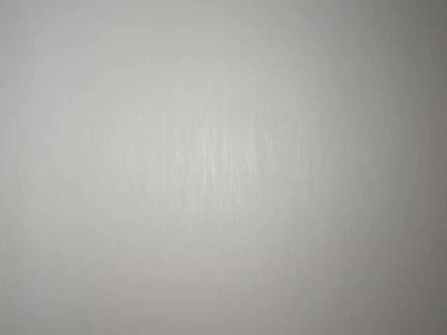 Offline Model2021 on BongaCams