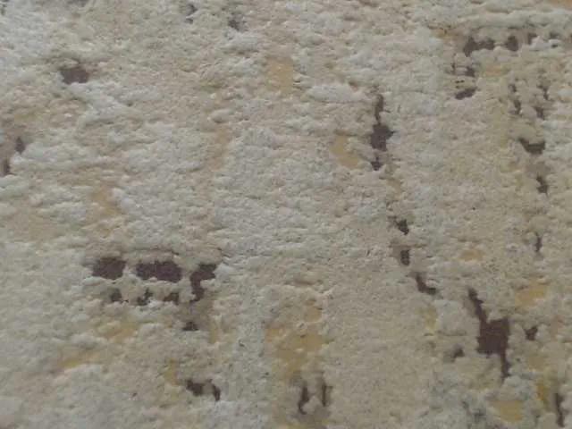 Freechat moxxito on BongaCams