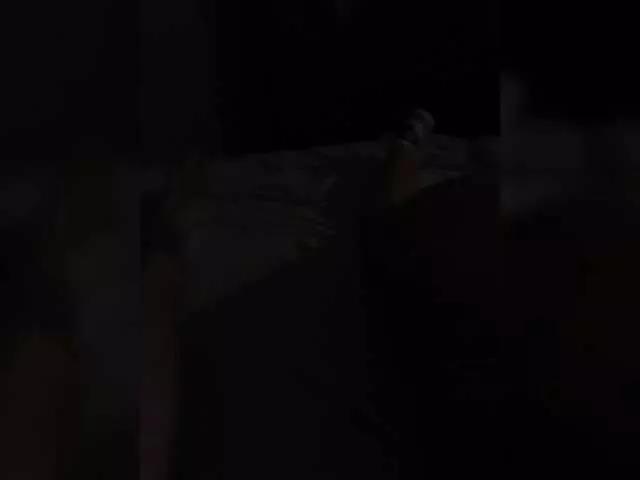 Offline Para-po-paramam on BongaCams