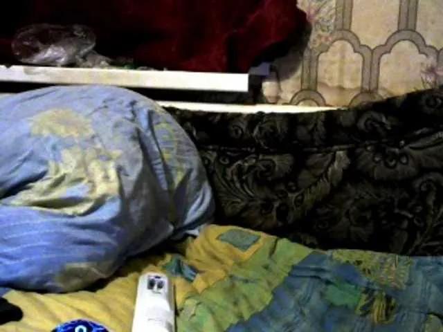 Freechat REPTILIAY on BongaCams