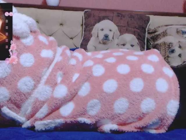 Freechat SexyAlina123 on BongaCams