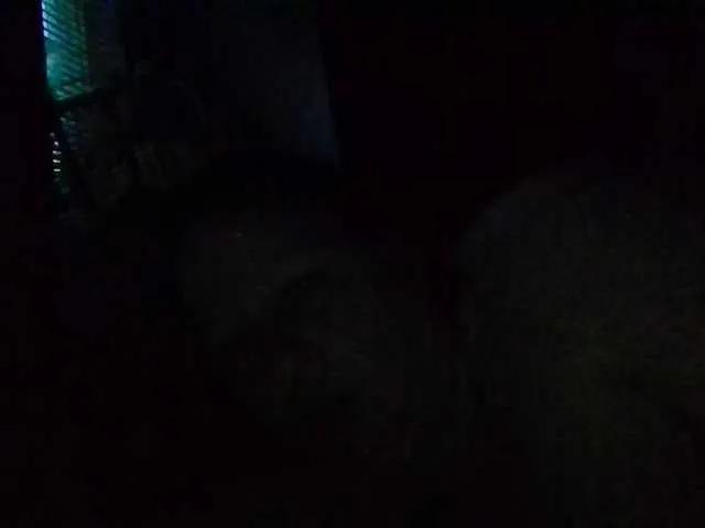 Offline starlight1983 on BongaCams