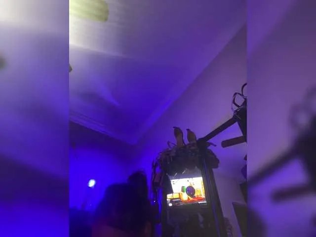 Offline TheDime on BongaCams