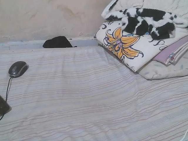 Offline Verylshanny on BongaCams