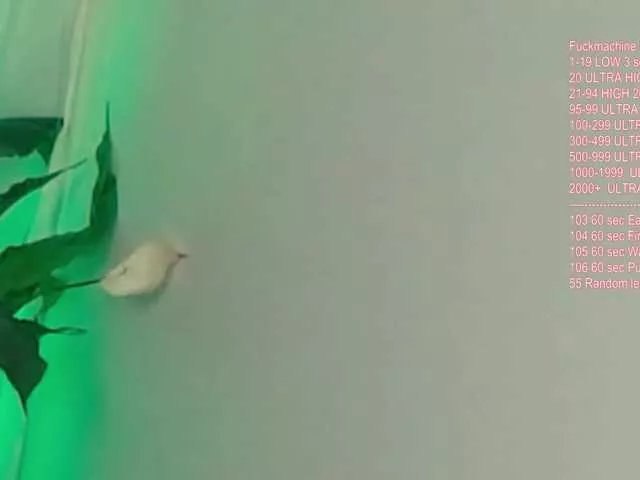 Freechat Vik-Love on BongaCams