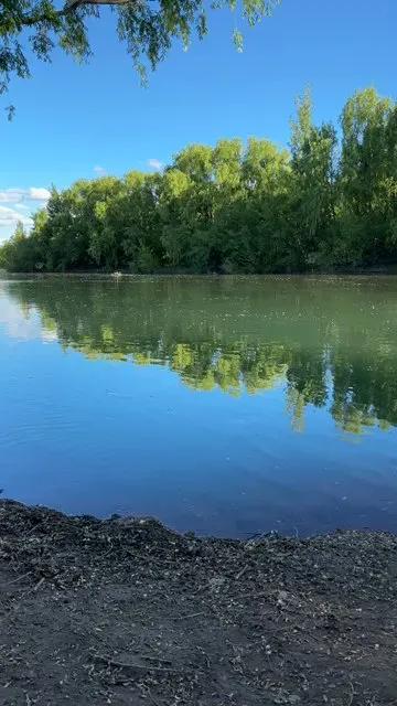 Freechat Laoquedad on Cam4