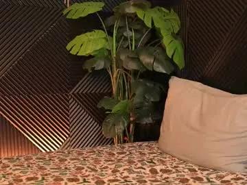 Freechat inaccessibles on Chaturbate