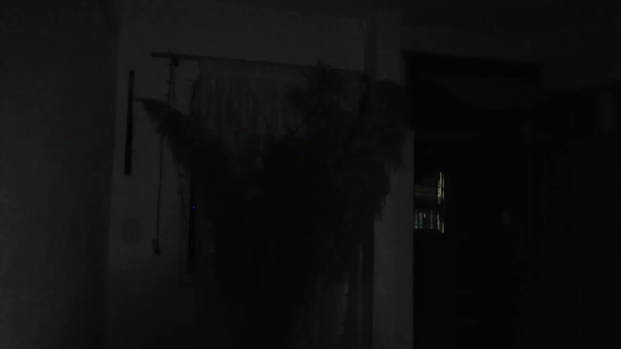 Offline thalia_smith on Streamray