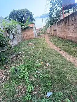 Freechat Black-mamba-madingo on StripChat