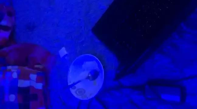 Catyloves on StripChat