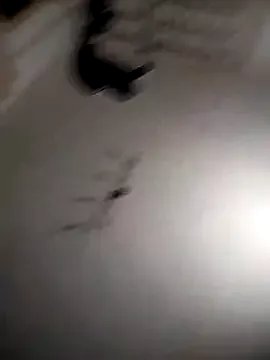 Freechat Laura_Ati on StripChat