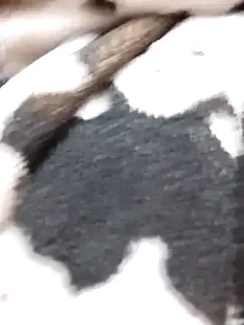 Freechat Laxmi_89 on StripChat