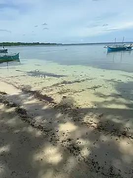 Freechat LilliThelo on StripChat