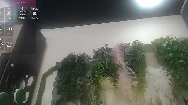 Private scyrim2 on StripChat